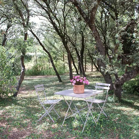 Provence.bienvenue Chez Nous * Rognes